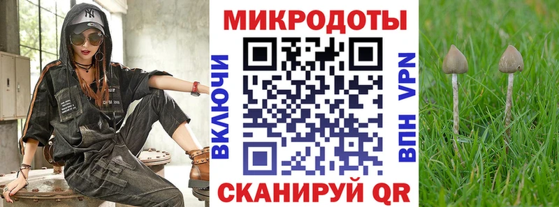 Купить  Краснокаменск  Псилоцибиновые грибы Cubensis 